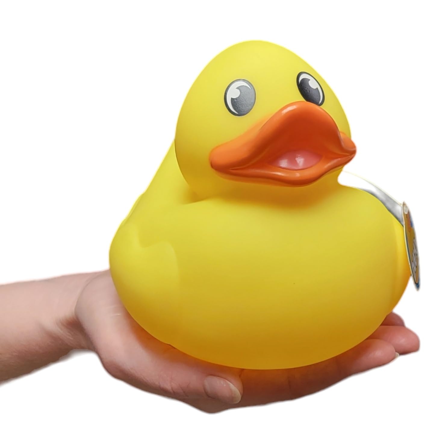 Amazon.com: Zugar Land Big Rubber Ducky Collectible Mix (5.5
